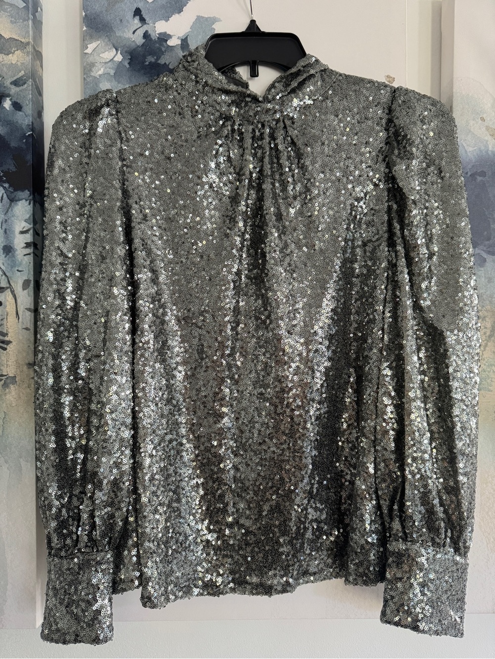 Anthropologie Silver Sequin Long-Sleeve Women's Top